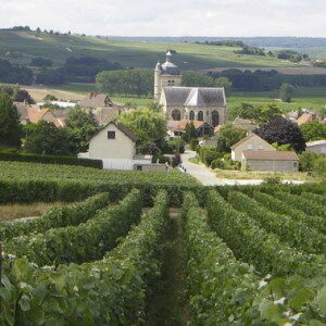 vigneron Hervé Mathelin – Troissy – Vallèe de la Marne
